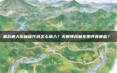 血战唐人街秘籍代码怎么输入？无限弹药触发条件有哪些？